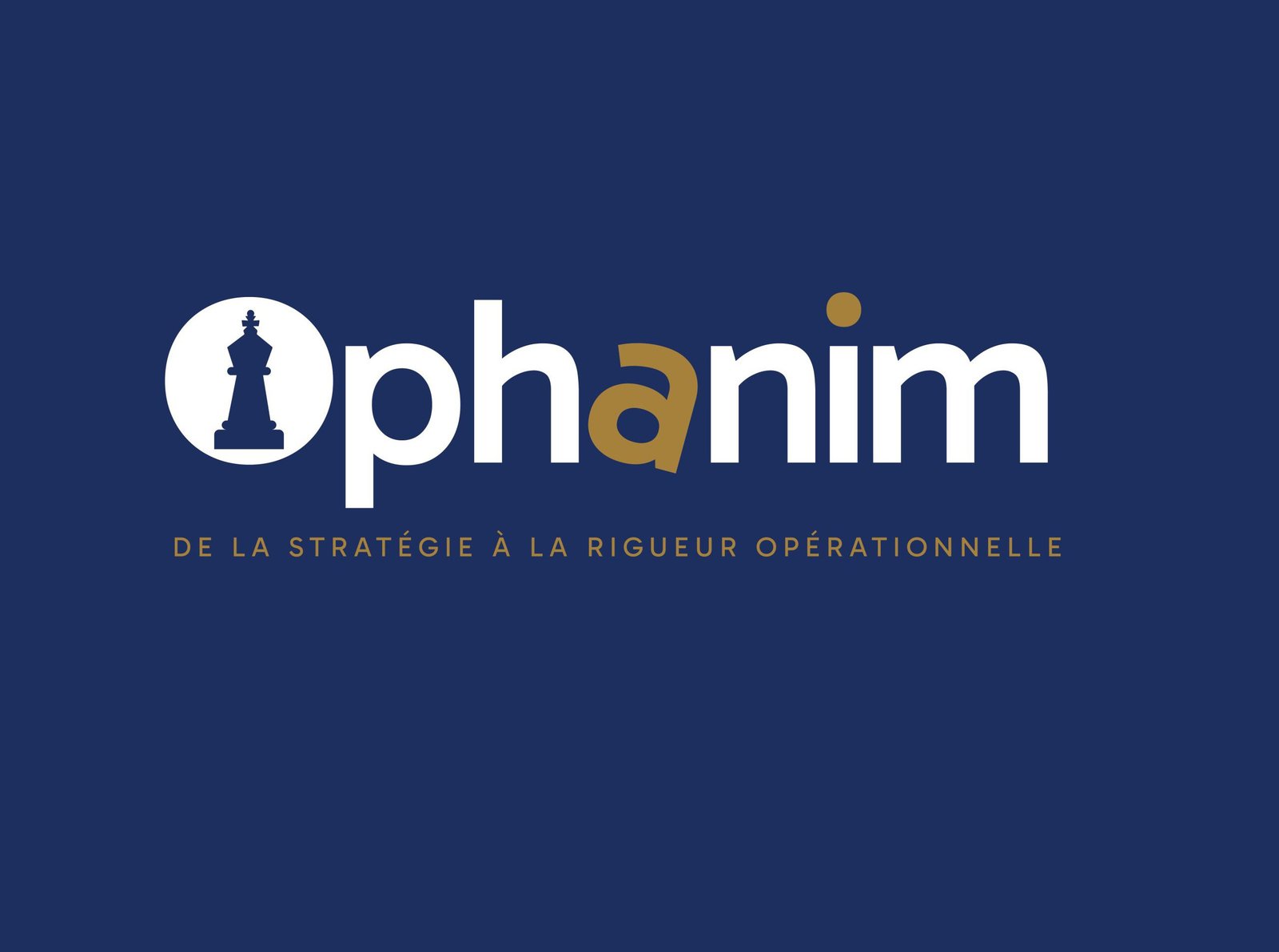 Ophanim - identité de marque cabinet de conseil en stratégie